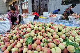 桃子还没熟就采摘，坏了口碑，如今低价卖不动，果农：后悔图片