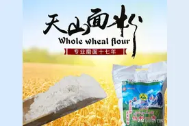 昌吉市加快天山面粉公司重点项目建设图片