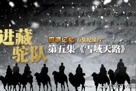 7个月，1200公里，进藏驼工变身筑路工，雪域架天路，天堑变通途图片