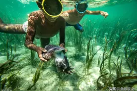 摄影师探秘马来西亚海上“吉普赛”巴瑶族图片