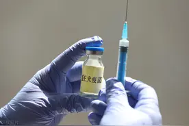 哈尔滨等地被曝狂犬疫苗短缺，“狗患”问题凸显、药企停产是主因，已有企业加量生产，但疫苗缺口仍将持续图片