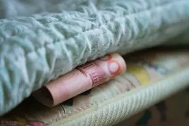 人形兔与野兔的相遇图片