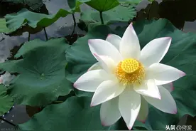 明朝最有钱的三十三座城市的诞生图片