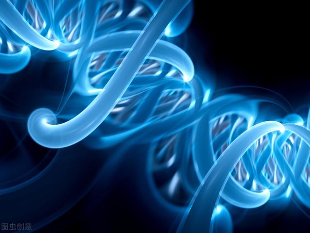 运动补充剂BCAA与EAA哪种更适合你，最初人们为何会使用BCAA