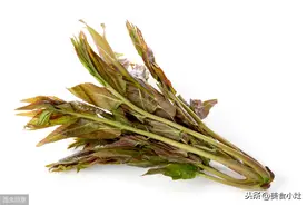 香椿！素食料理的特色辛香料！调味、入菜如何运用图片