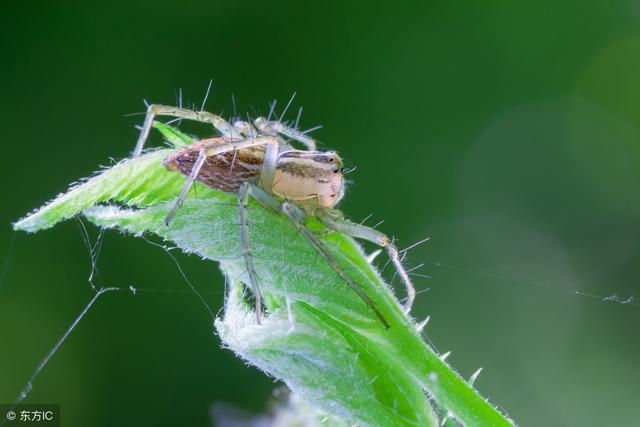 这药用好了，把病防掉十之八九不成问题！44个问答告诉你！
