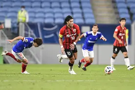 重磅！曝胡尔克与佩雷拉闹翻 亚冠或不再为上港出场图片
