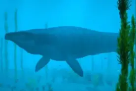 曾经统治整个海洋的沧龙，到底有多可怕？西瓜视频带你了解图片