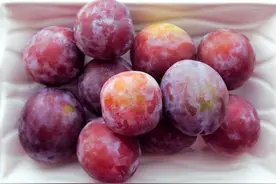 西梅为什么成不了李子中的“梅西”？图片