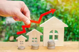 我，年薪30万、工作稳定，为何依旧想“逃离”深圳？图片
