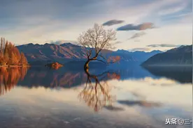 PS小技巧——水中倒影，详细讲解，简单易学图片