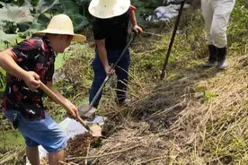 南昌县富山乡：没有发出去的请假短信图片