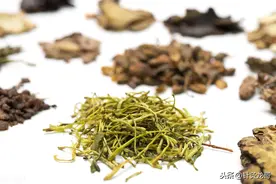 将中药功效与穴位功效对等都是针灸的门外汉图片