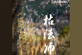 达瓦和达亿瓦有何不同？先入为主，不代表买到便宜又高端的渔具图片