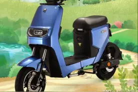 48V锂电池，定速续航，立马国标车新款上市图片