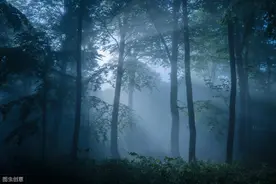 小说：小狐狸修炼成仙遨游四海，谁想因为贪吃成了炸鸡店服务员图片