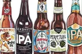 精酿啤酒中的鄙视链图片