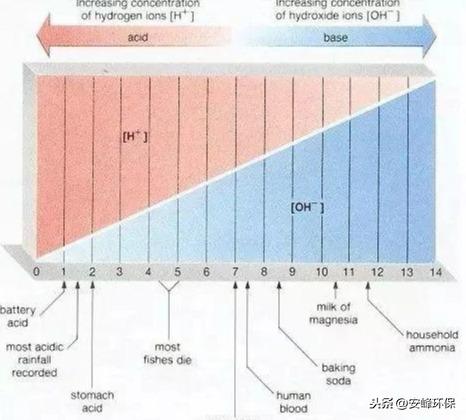活性污泥为什么是带负电荷的？