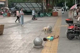 “佛系宝妈”硬核带娃，双方僵持不下，狗子在一旁观战图片