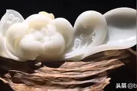冒充砗磲的文玩摇身一变又回来了图片
