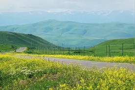 中国发展就像一头超级大象在奔跑，留点回旋余地有什么不好？图片