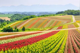 探析：日本人在山东租地建农场，10年赔了20亿日元，黯然离场图片