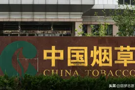 2021年想进入中国烟草可以报考的专业名单、学历要求最新汇总图片