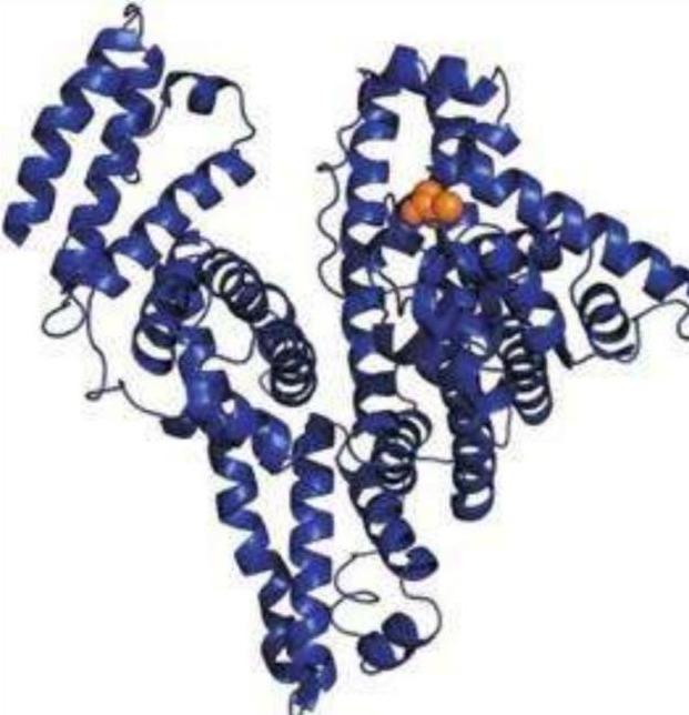 瀹犵墿涓讳汉锛氱姮琛€鐧借泲鐧借繖涔堣吹鐨勮嵂锛屽湪杩欎簺甯歌鐨勭柧鐥呬腑璇ュ浣曚娇鐢? onerror=