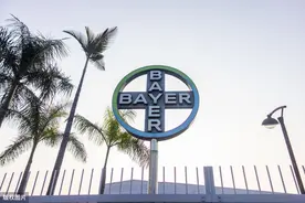 外国拜耳公司严肃辞退行为不当员工，国内公司该如何应对呢图片