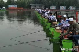 黑坑垂钓过程中隔壁钓友爆连，你却没口，如何调整才能扭转局势图片