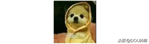 鎱庣敤锛佹爣姒溿€愬瓡濡囧彲鐢ㄣ€戦兘鏄亣鐨勶紒