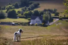 考研故事：中途放弃的人现在怎么样了？丨Day114图片
