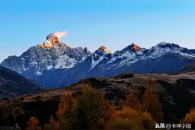 所谓的失联修复到底是什么？图片