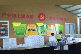 威海“青年海归”的乡村致富指南图片