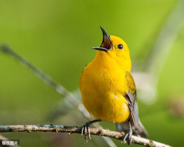 杨世灿等鹰子石2023-02-24 09:28发表于湖北07《山海经》第五61中山