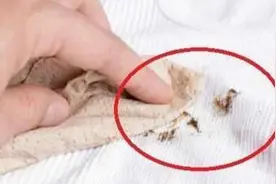衣服污渍洗不掉？学学下面这招，不管污渍多顽固都能轻松去除图片