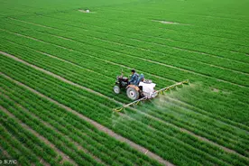 冬小麦管理中，一定要警惕冻害，如何预防？有什么补救办法吗？图片