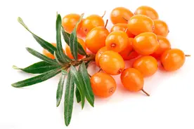 它既是藏药也是中药，健脾祛痰活血，保肝降脂抗血栓，降血液黏度图片