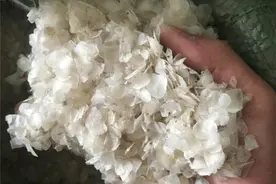 这种“食材”根本不能算食物，中国人却能将它做成美味，真神奇图片