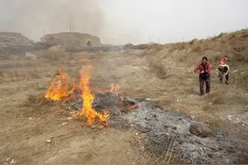 烧荒烧秸秆，这些行为要不得，莫玩火，玩火必烧己图片