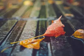 别太自信，没有谁放不下你图片