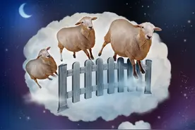失眠的夜，这些器官都在陪你“加班”图片