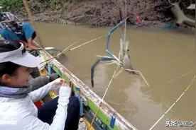 越南湄公河大虾泛滥，当地人吃到想哭，邀请中国人“钓虾”援助图片