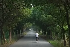 父亲起诉儿子借钱不还，儿子反向父亲索要“叫爸费”、“叫爷费”：每天一元图片