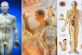 中医穴位阴陵泉祛湿效果好图片