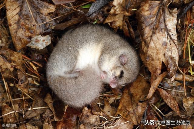 秋天身上皮肤鸡皮疙瘩