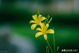 夏韵，调皮的雨图片