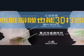 3D打印｜研究人员打印出高仿真心脏瓣膜模型图片