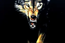 在衣服上画画，教你制作自己的文化衫图片