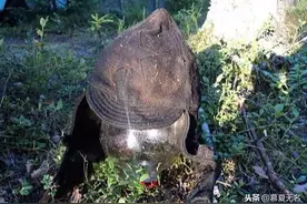 俄罗斯曾发现大量苏联士兵遗体，几乎全成木乃伊，并非二战阵亡图片